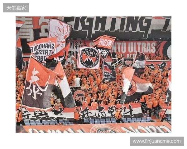 苗原谈泰山引援:账户里有200万水平购买力 但文旅决策尽量少花钱 苗原谈泰山引援:账户里有200万水平购买力 但文旅决策尽量少花钱